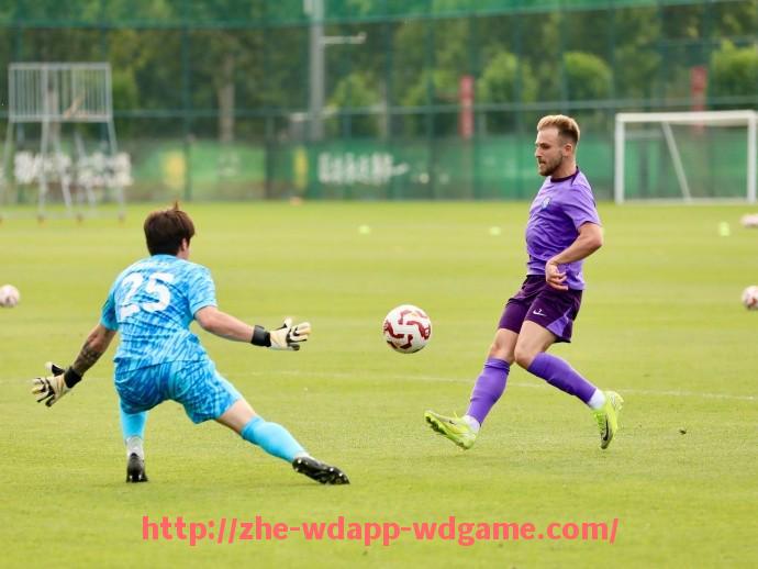 问鼎娱乐官网-法甲比赛战术应用实例及球队调整策略总结